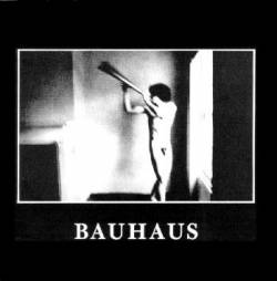 Bauhaus : In the Flat Field